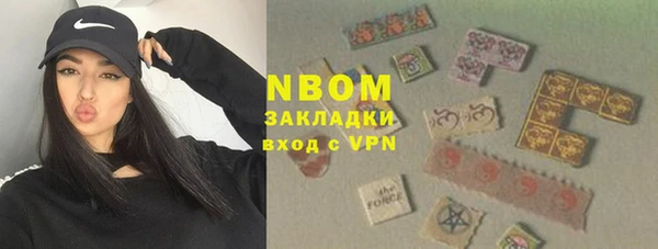 шишки Белокуриха