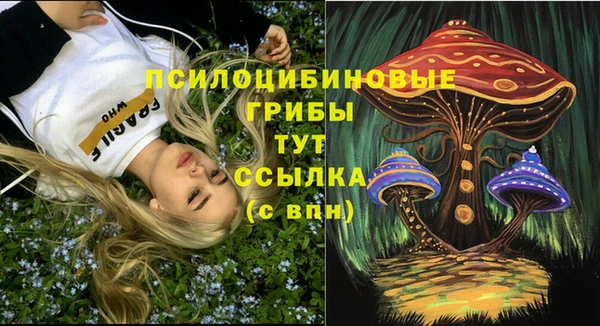 ГАЛЛЮЦИНОГЕННЫЕ ГРИБЫ Богородицк